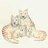 Thylacine Family