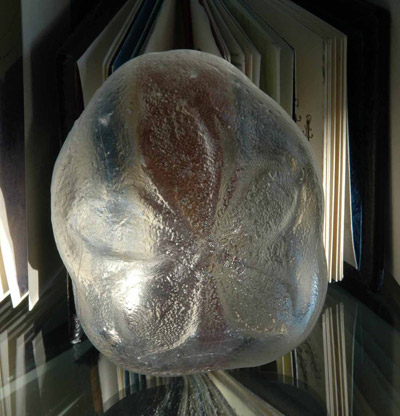 Sand Dollar - Pippa Simpson