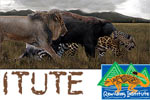 The Rewilding Institute