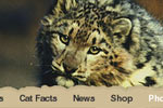 Snow Leopard Trust